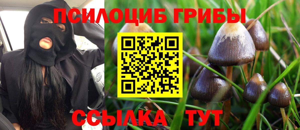 Псилоцибиновые грибы Magic Shrooms Ростов Великий