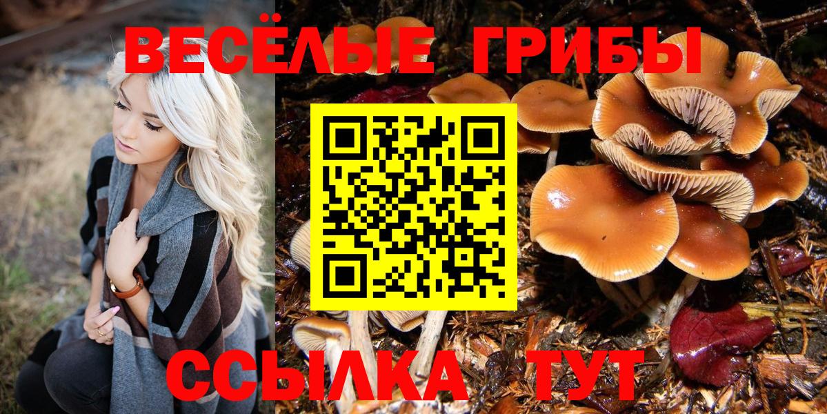 Галлюциногенные грибы Cubensis  Вход с VPN  Ростов Великий  Галлюциногенные грибы Psilocybine cubensis 
